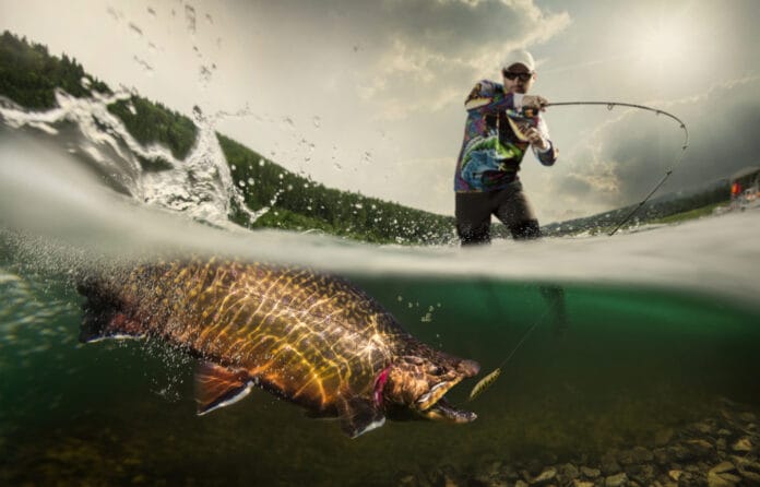 Fisherman reeling in a large fish underwater, showcasing a vibrant catch in a scenic outdoor setting.