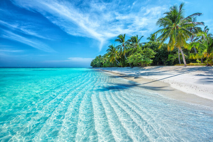 A stunning Caribbean beach featuring turquoise crystal-clear waters, white sand, and lush green palm trees under a bright blue sky.